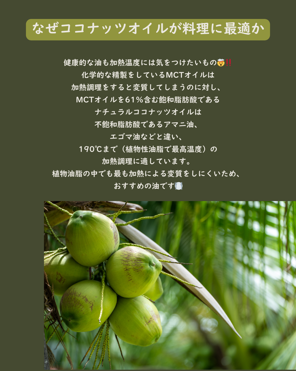 有機ココナッツオイル