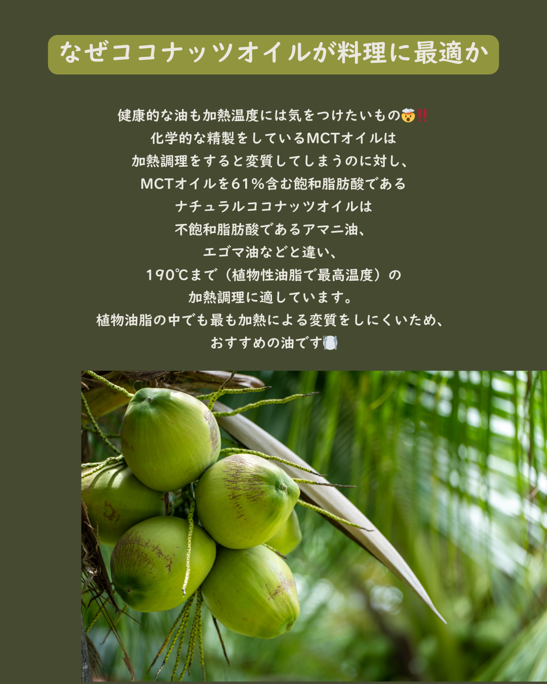 有機ココナッツオイル