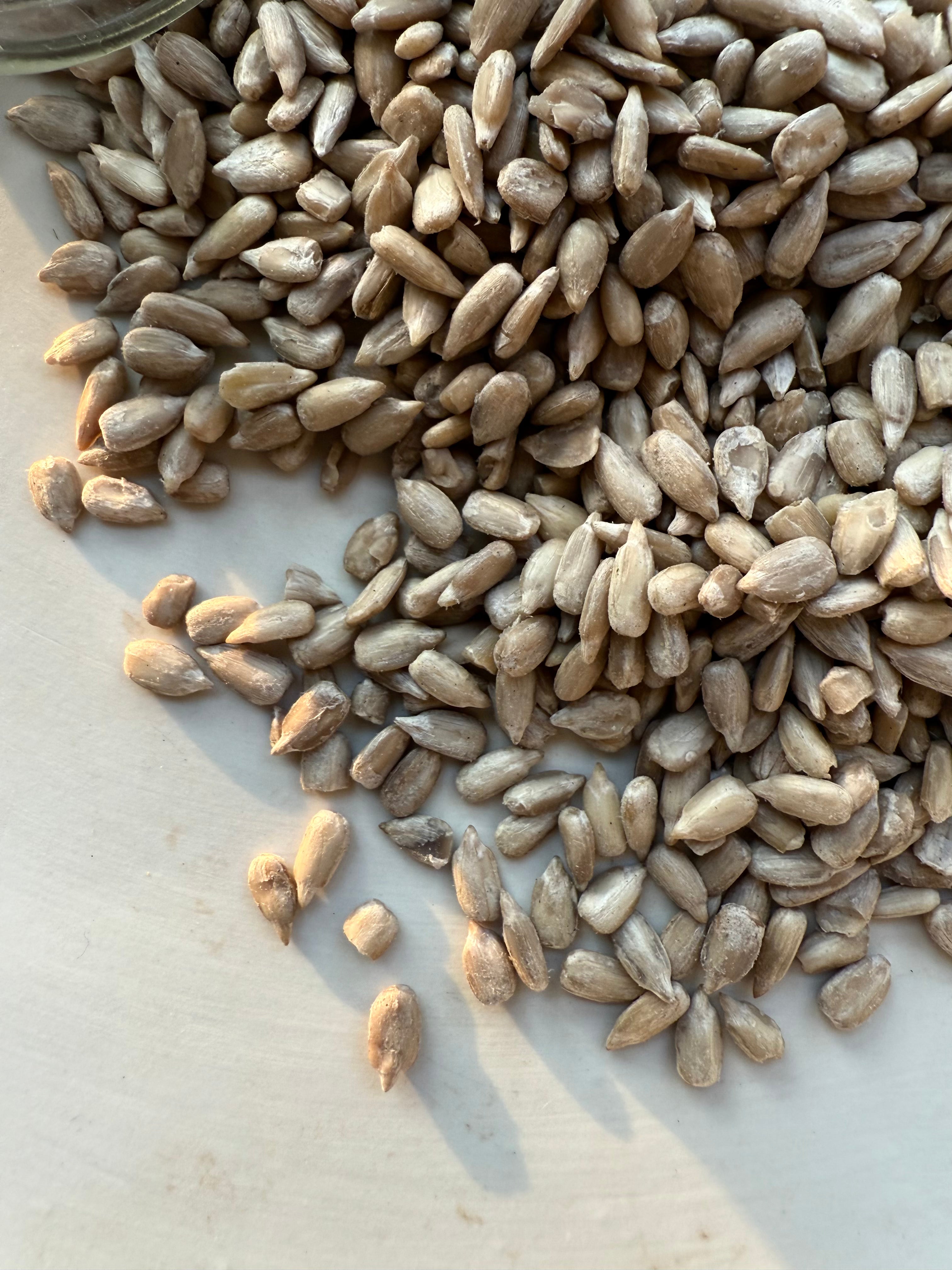 ZENN スキンブースターセット