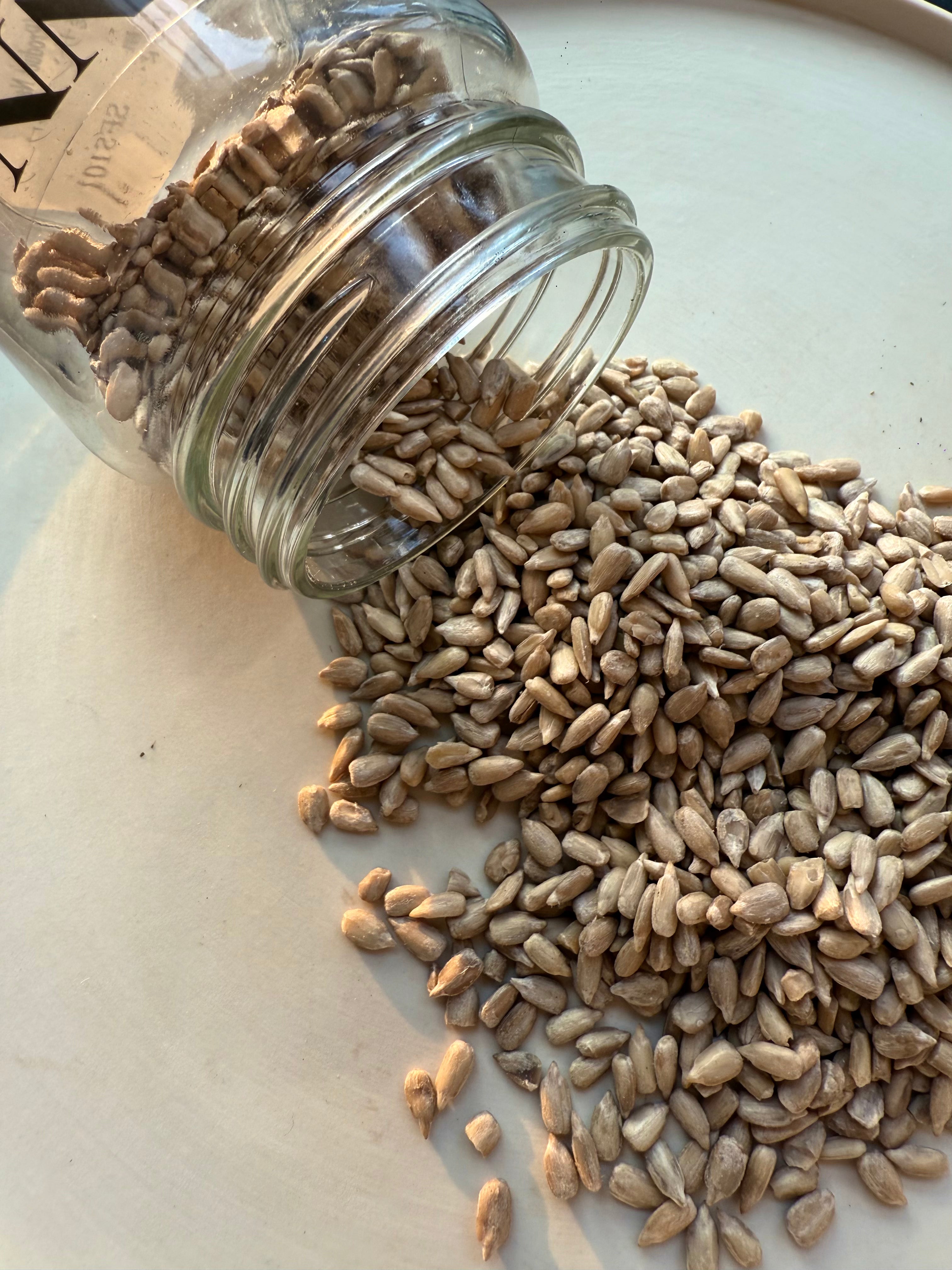 ZENN スキンブースターセット